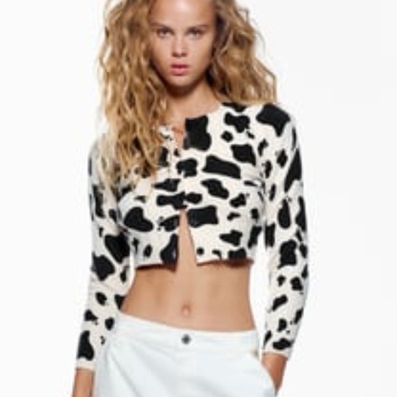 Nautinati Boys' Cute Animal Print Jacquard Knit Sweater